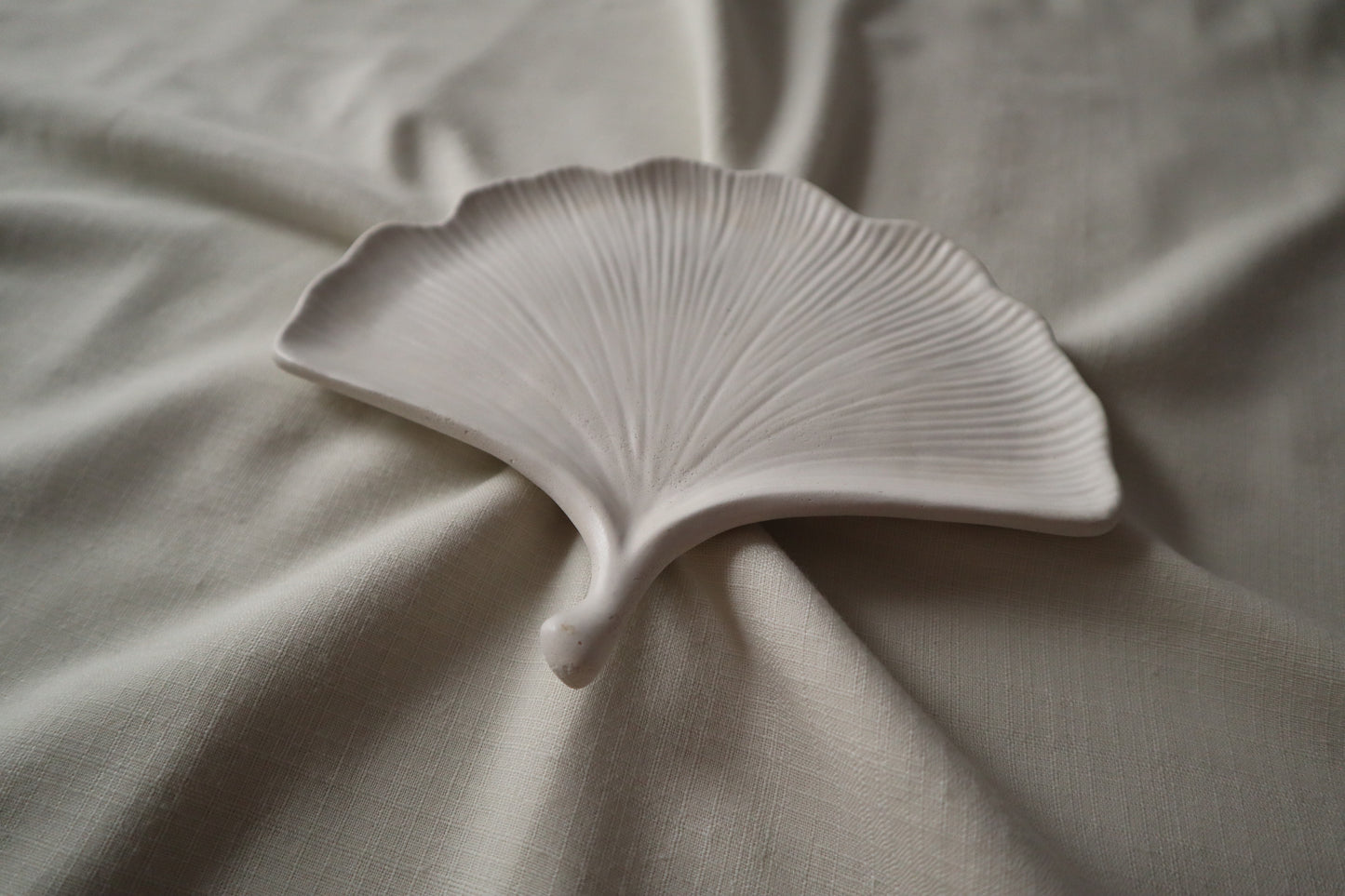 Ginkgo