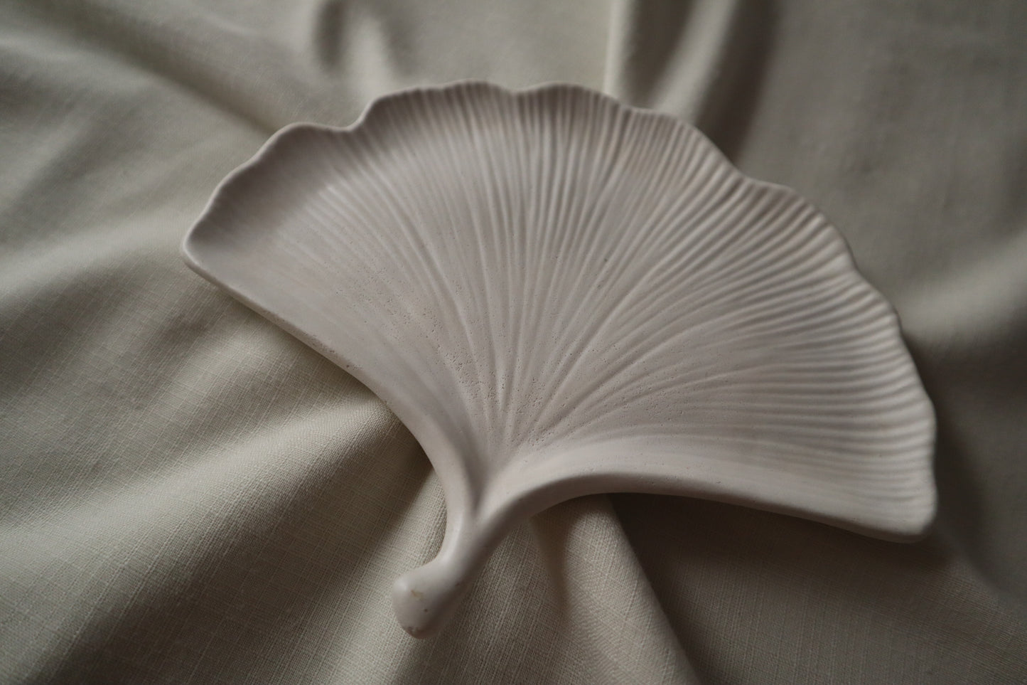 Ginkgo