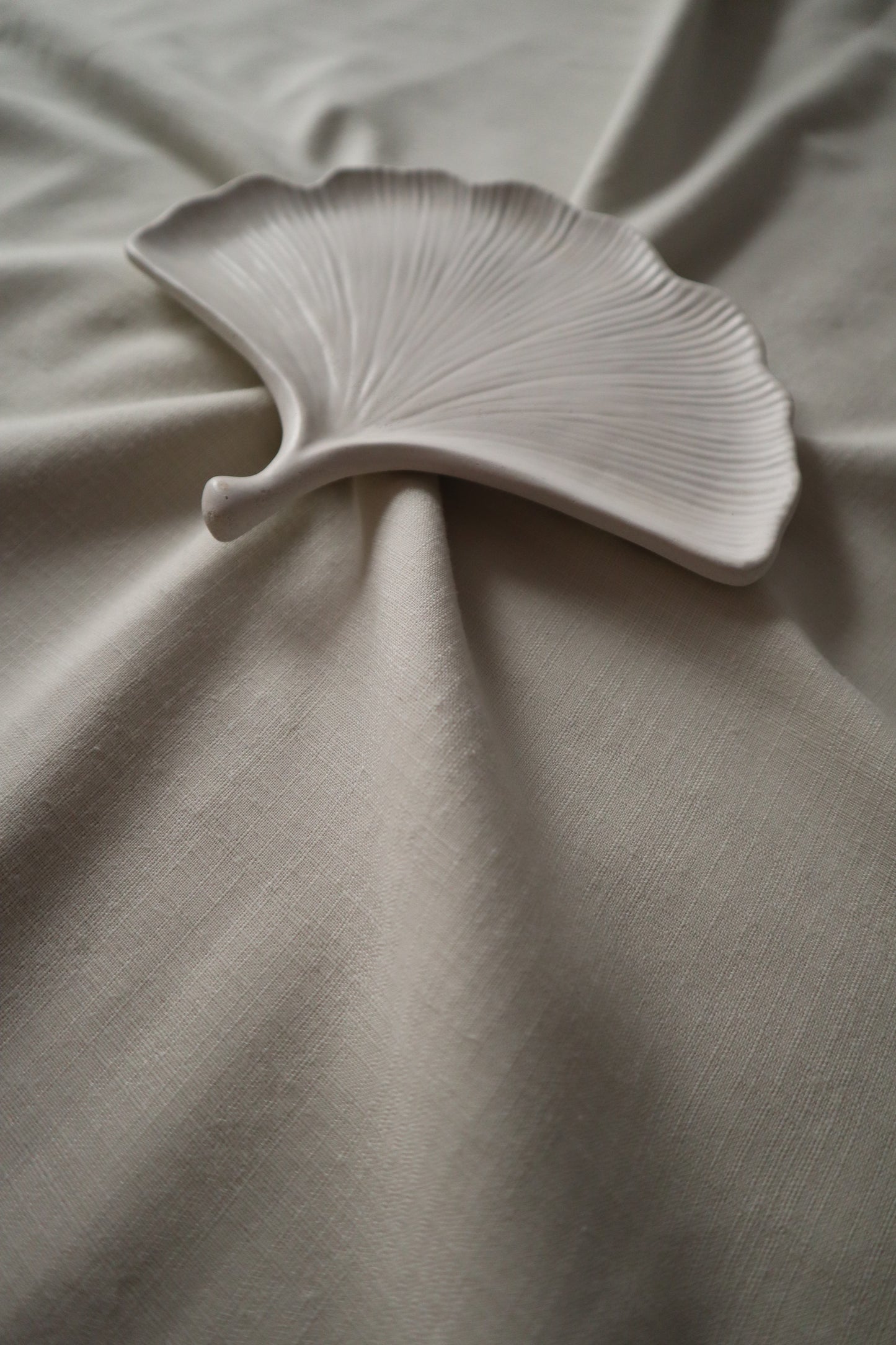 Ginkgo