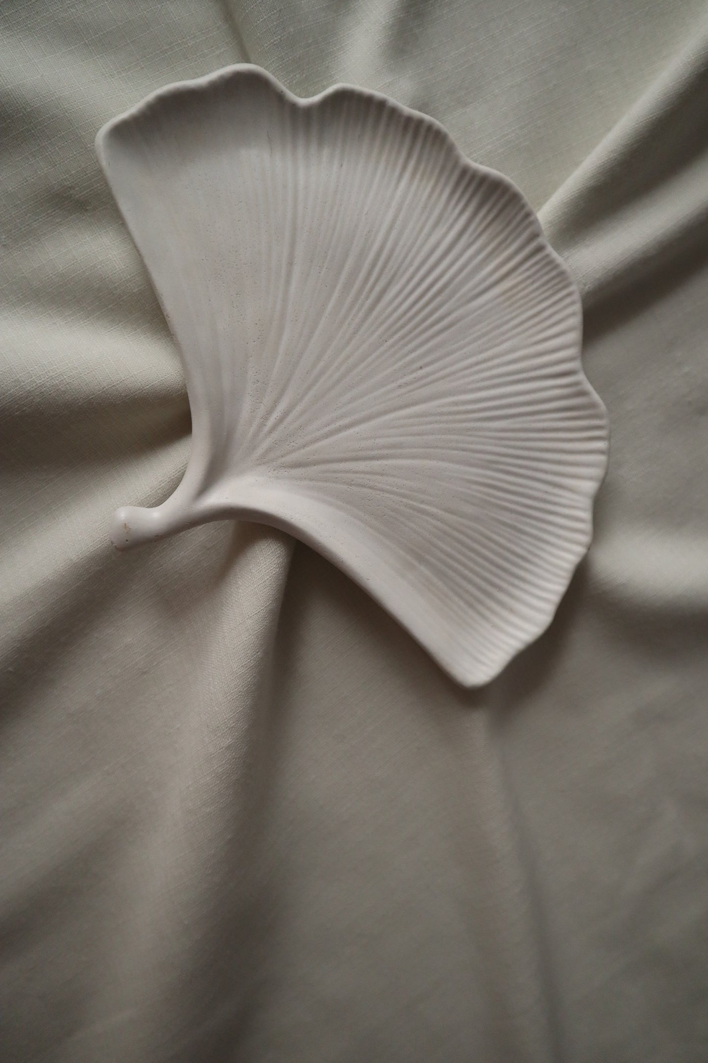 Ginkgo