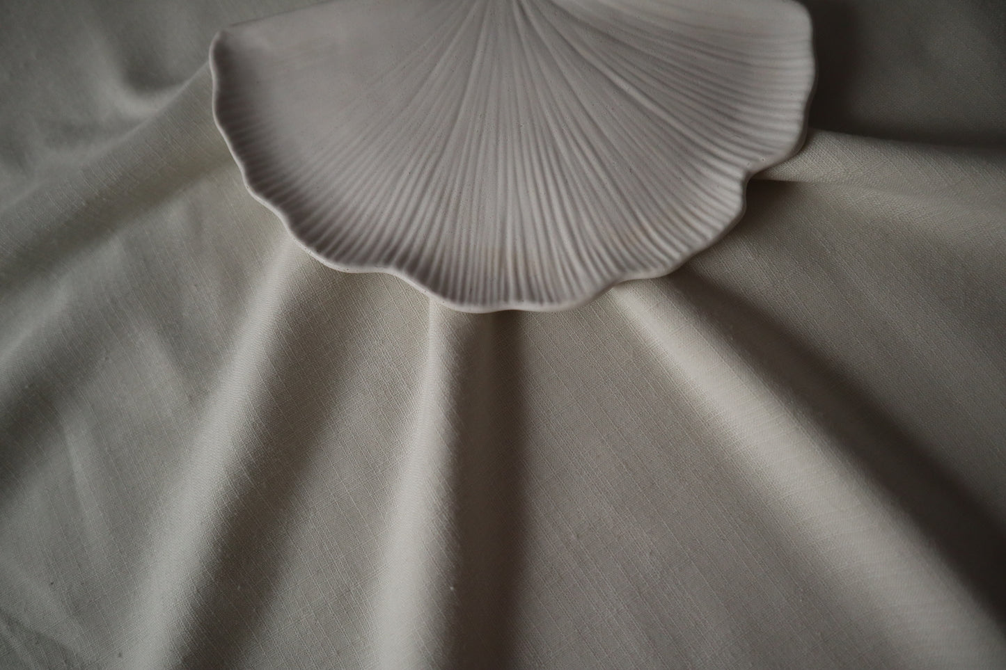 Ginkgo