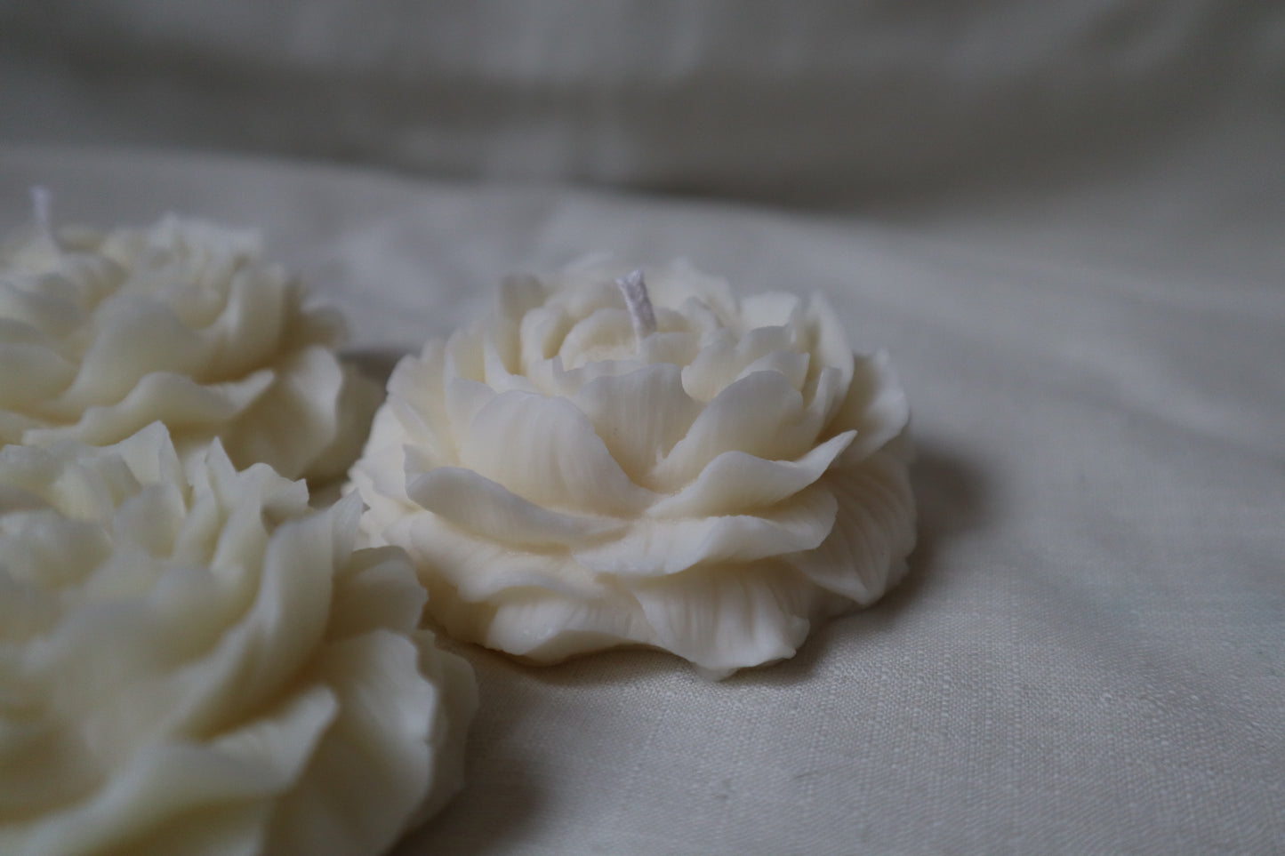 Blossom