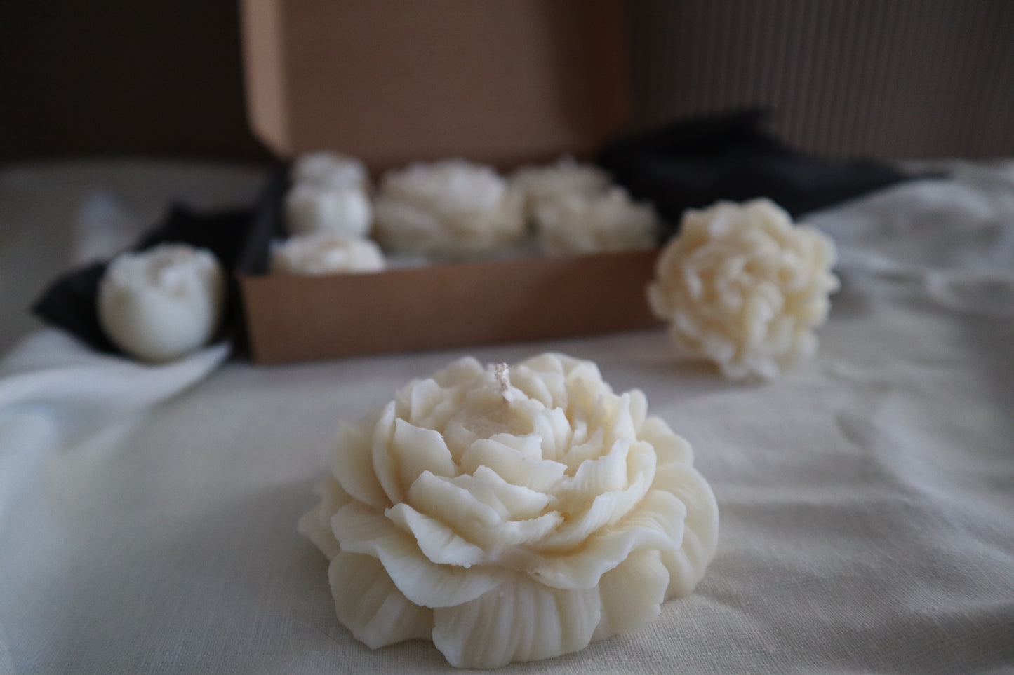 Bloom Box