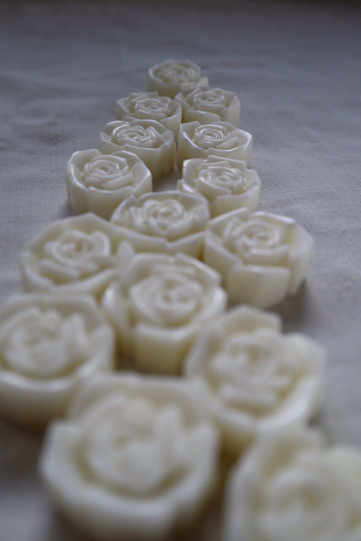 Roses