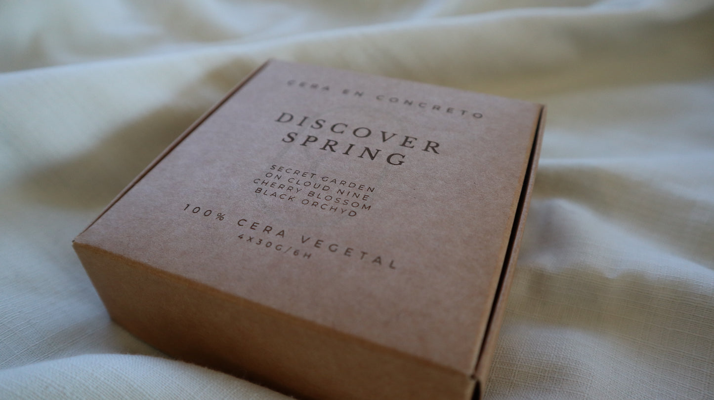 Discover SPRING