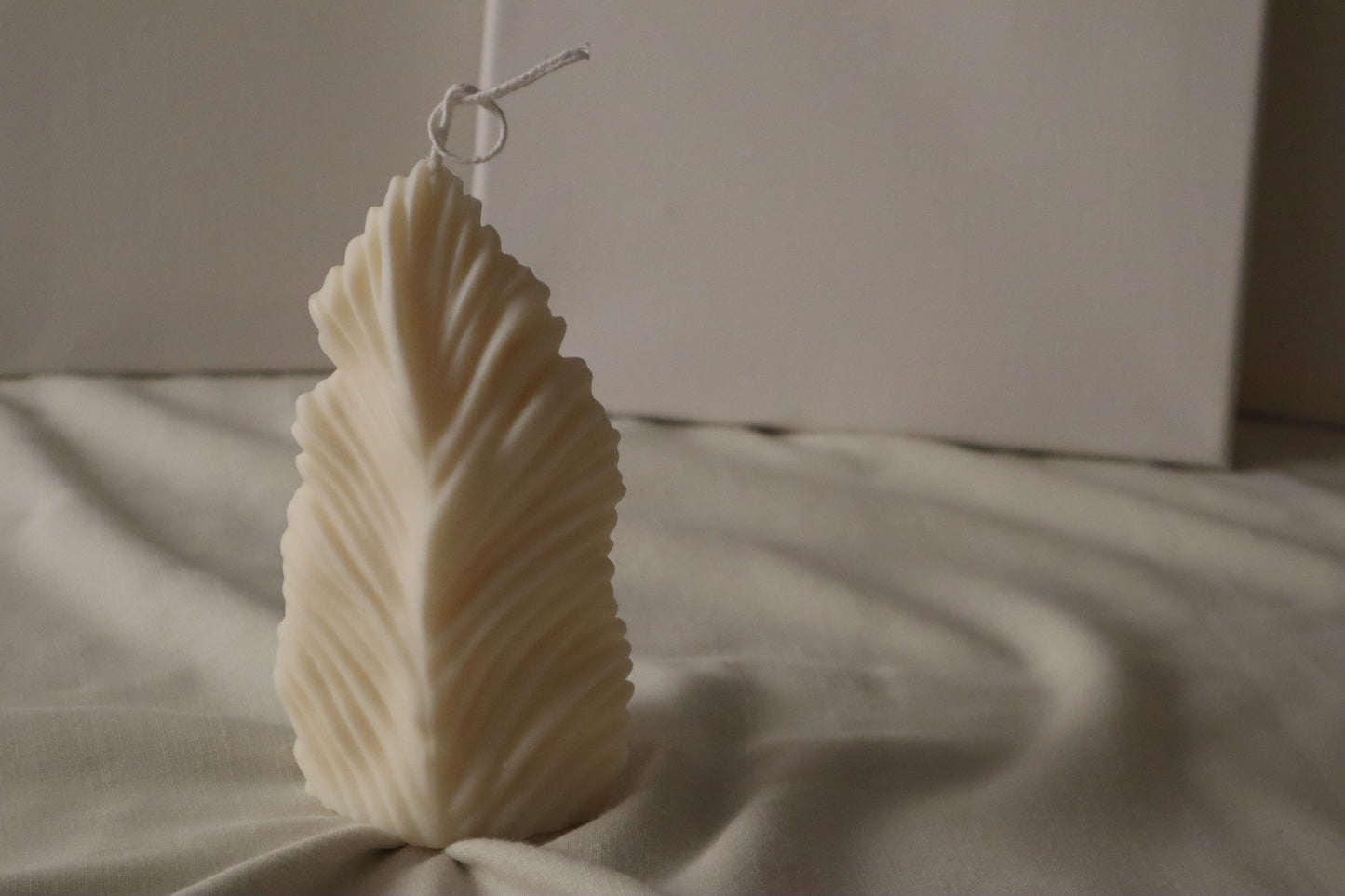 Feather