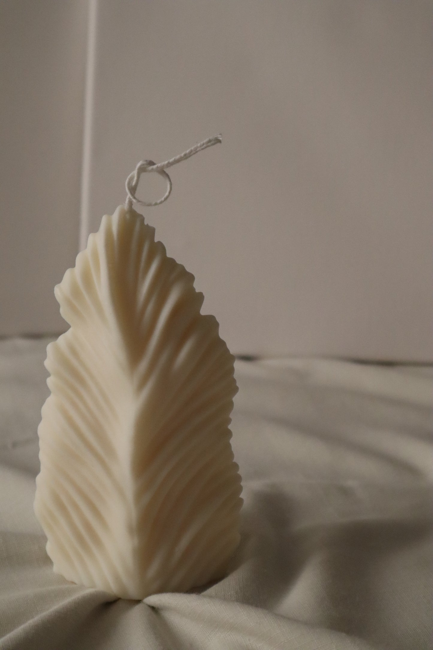 Feather