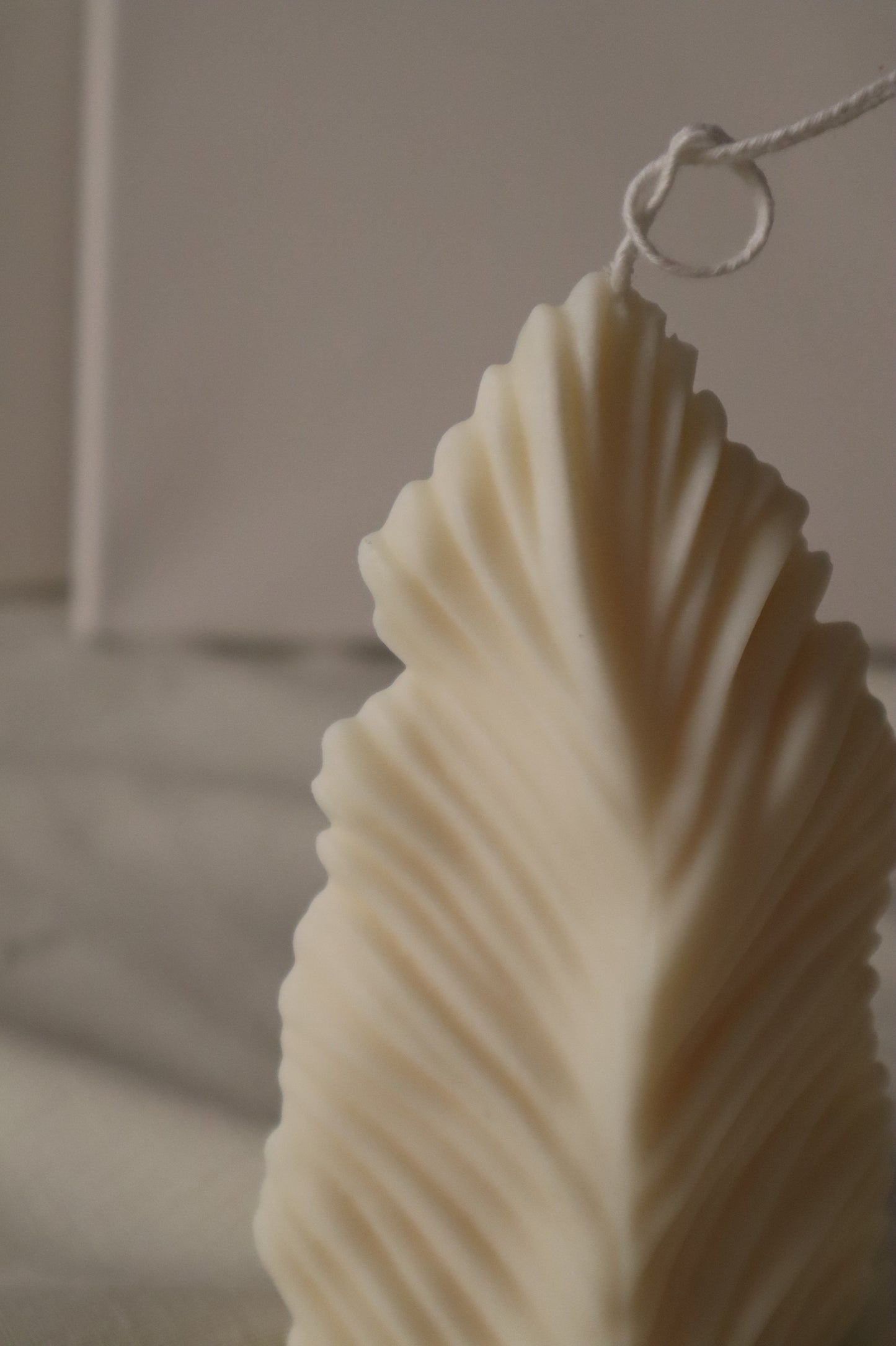 Feather