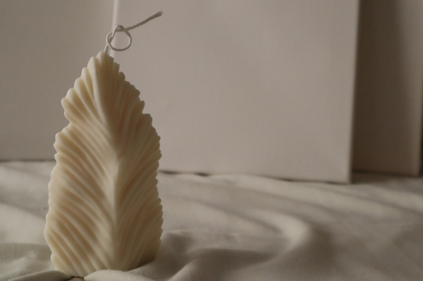 Feather