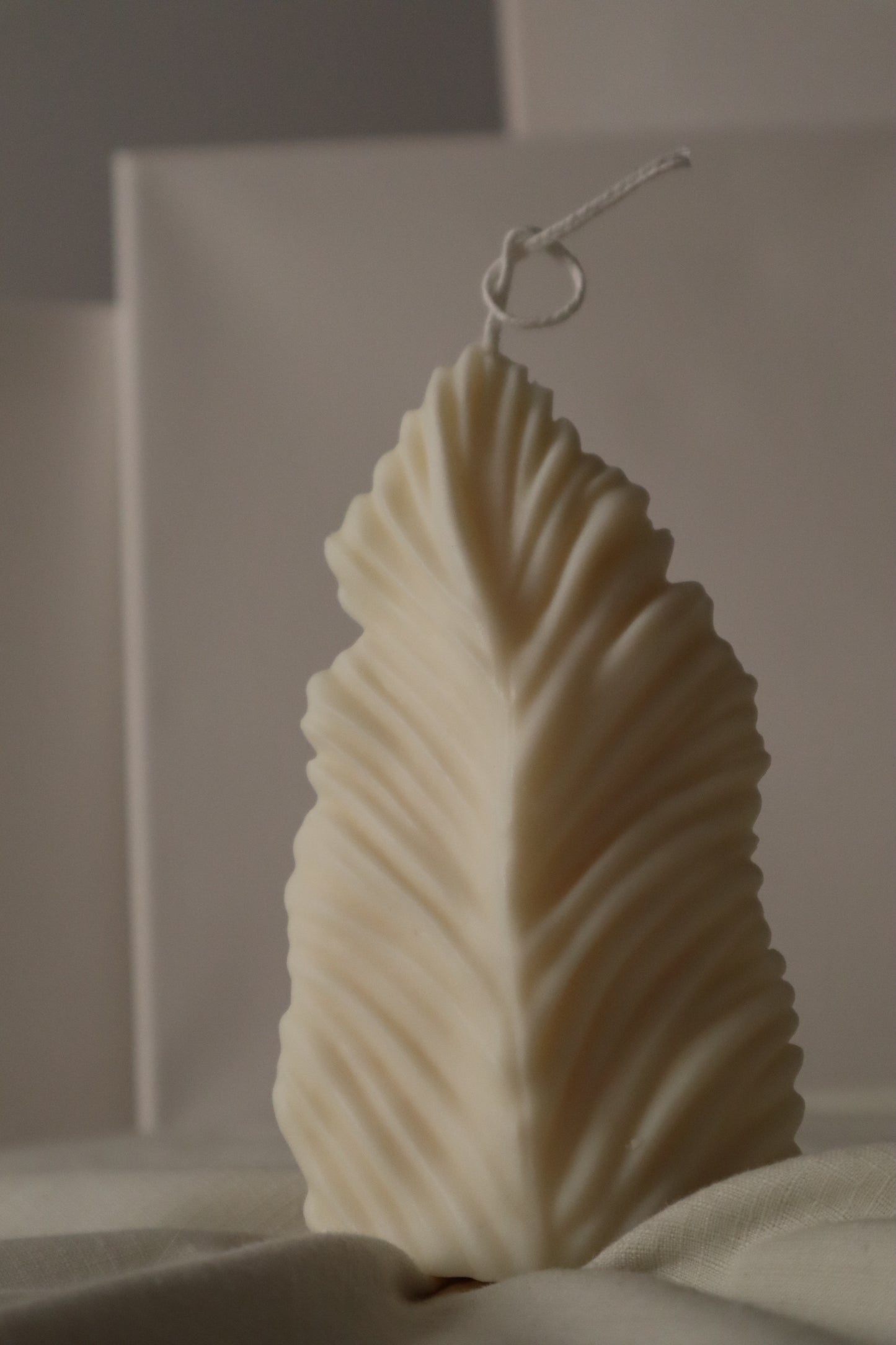 Feather